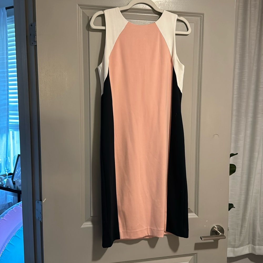 Ann Taylor business dress